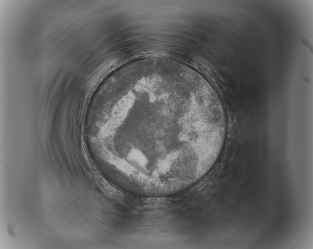 X0000103130145200809121739