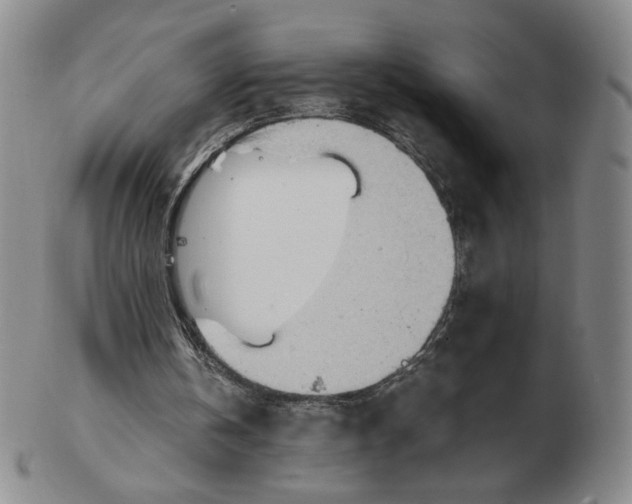 X0000103130146200809121739