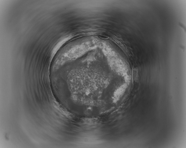 X0000103130147200809121739