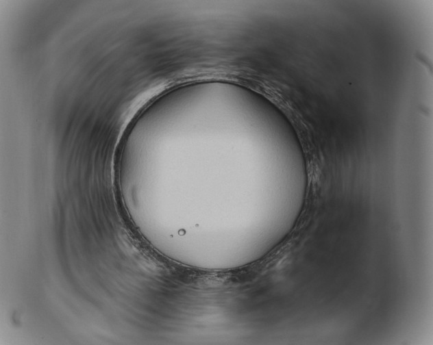 X0000103130148200809121739
