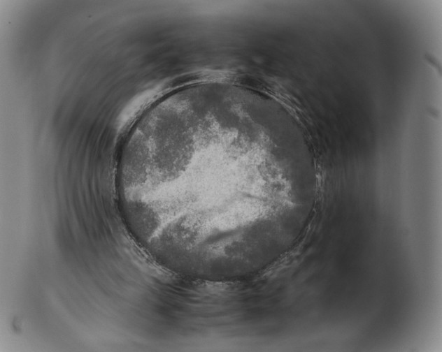 X0000103130149200809121739