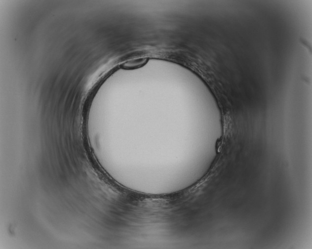 X0000103130150200809121739