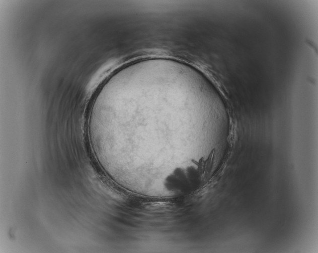 X0000103130151200809121739