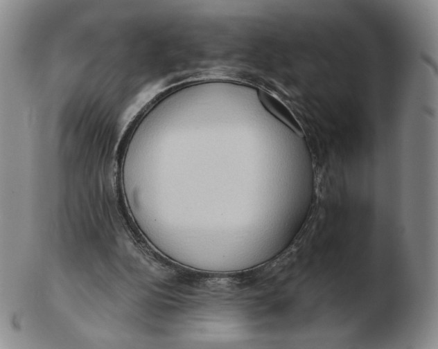X0000103130152200809121739