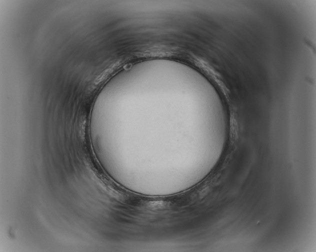 X0000103130153200809121739