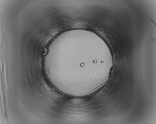 X0000103130154200809121739
