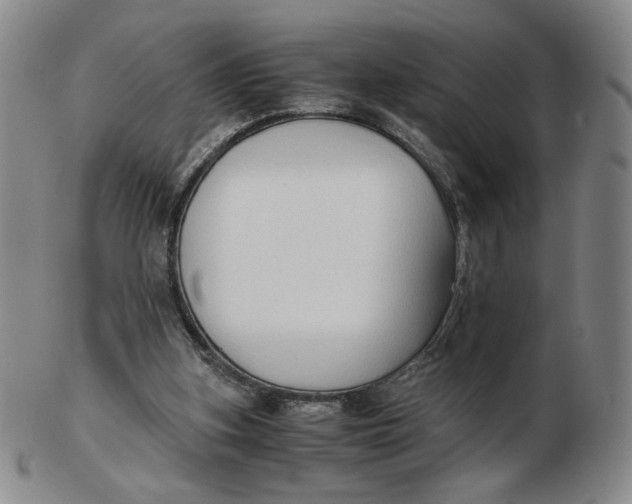 X0000103130155200809121739