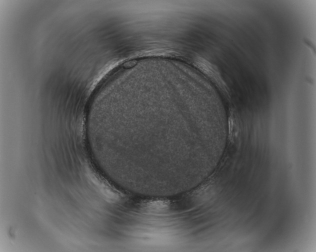 X0000103130156200809121739