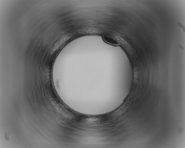 X0000103130158200809121739