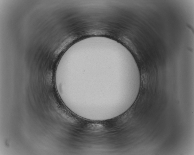 X0000103130159200809121739