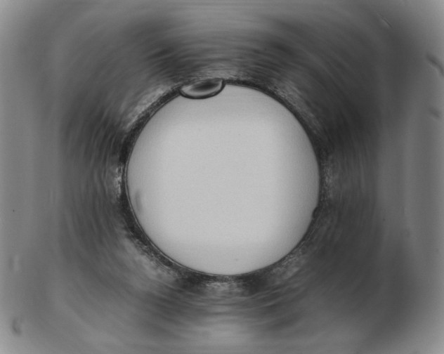X0000103130160200809121739