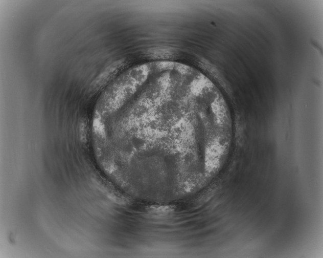 X0000103130161200809121739
