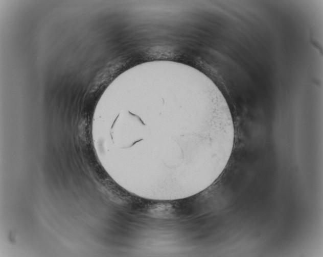 X0000103130162200809121739