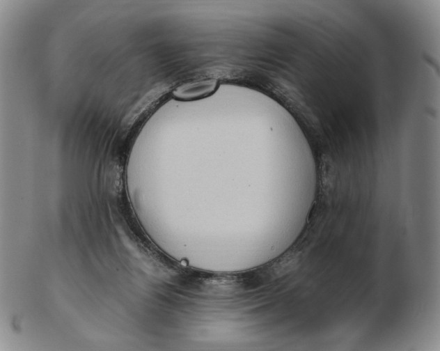 X0000103130164200809121739