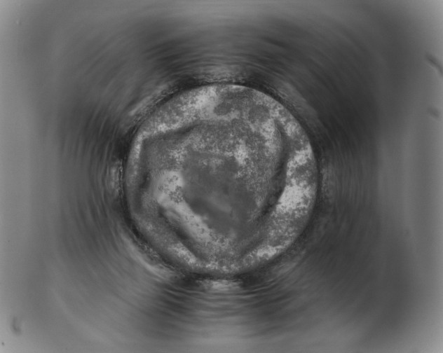 X0000103130165200809121739