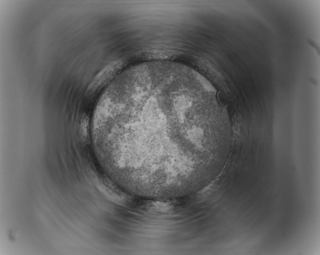 X0000103130166200809121739