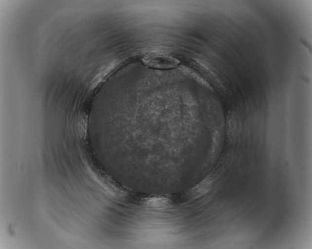 X0000103130168200809121739