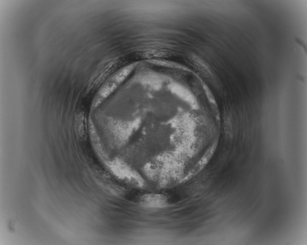 X0000103130169200809121739