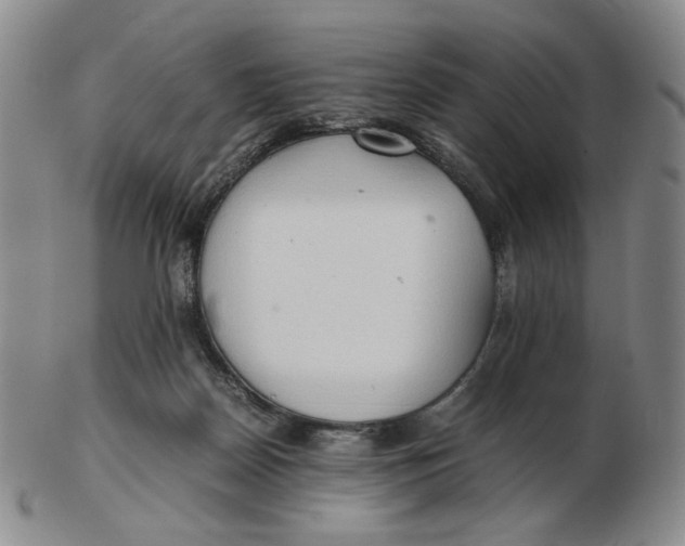 X0000103130170200809121739