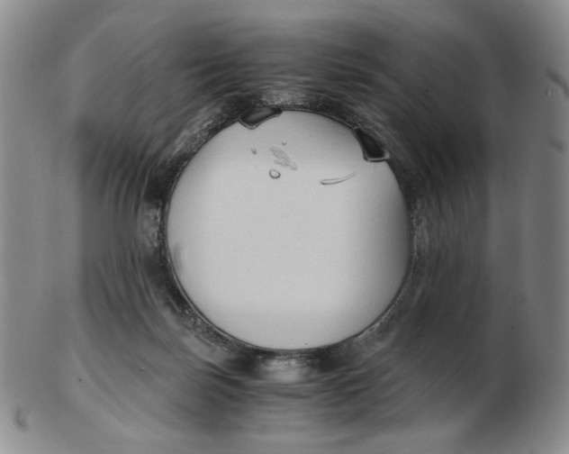 X0000103130171200809121739