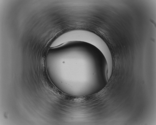 X0000103130172200809121740