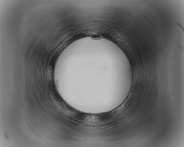 X0000103130174200809121740