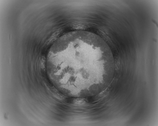 X0000103130175200809121740