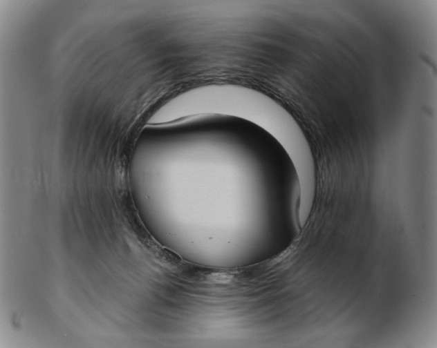 X0000103130176200809121740