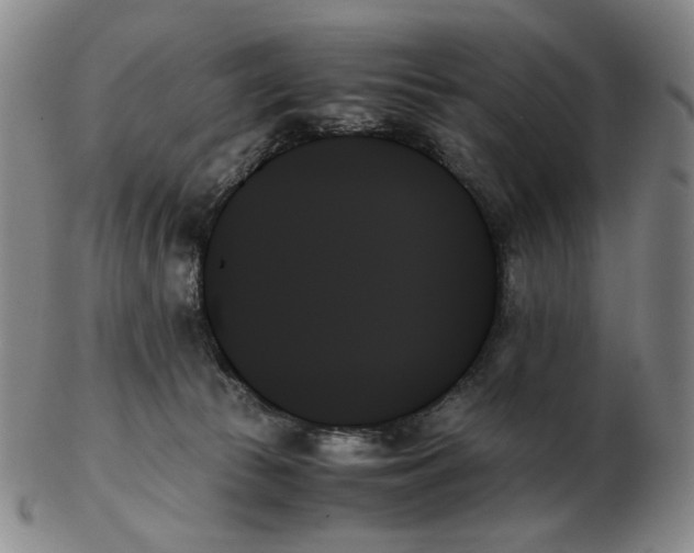 X0000103130177200809121740