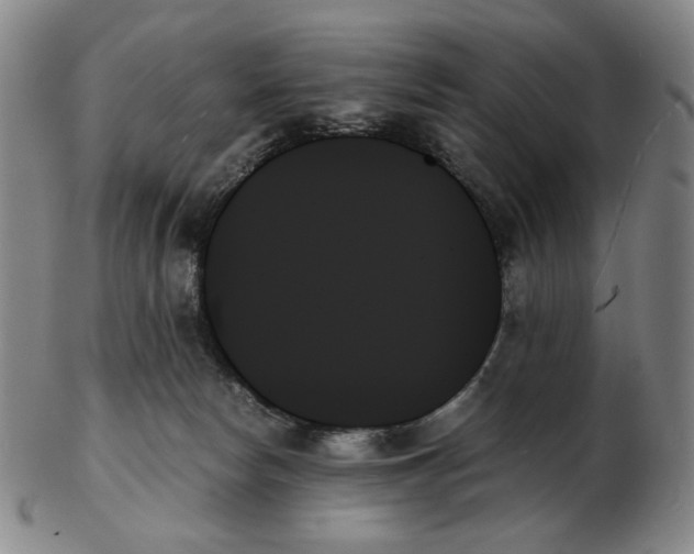 X0000103130178200809121740