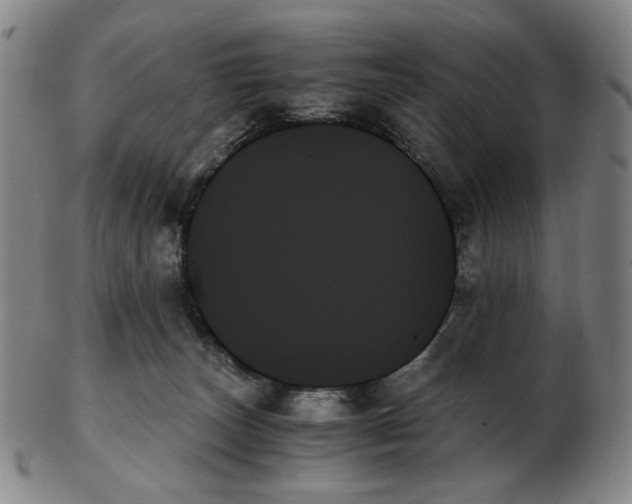 X0000103130179200809121740