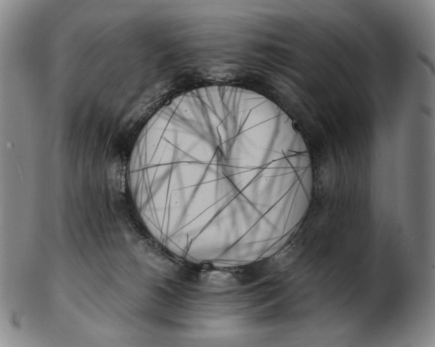 X0000103130180200809121740