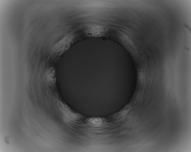 X0000103130181200809121740