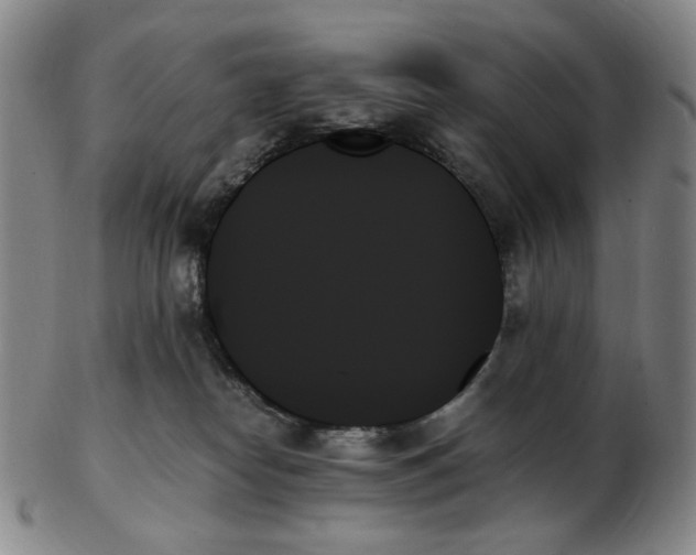 X0000103130182200809121740