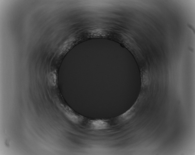 X0000103130183200809121740
