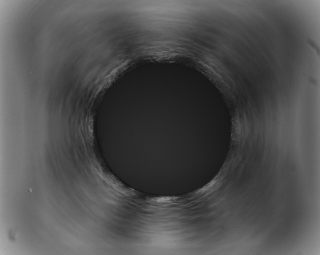 X0000103130184200809121740