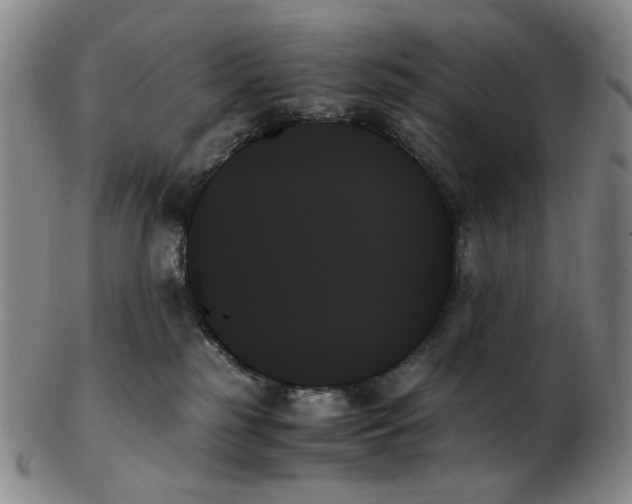X0000103130185200809121740
