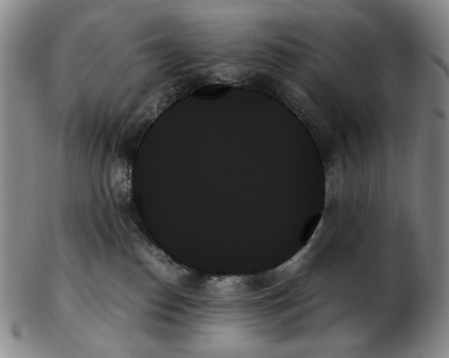 X0000103130186200809121740