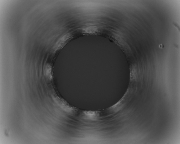 X0000103130187200809121740