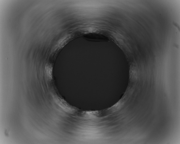 X0000103130188200809121740