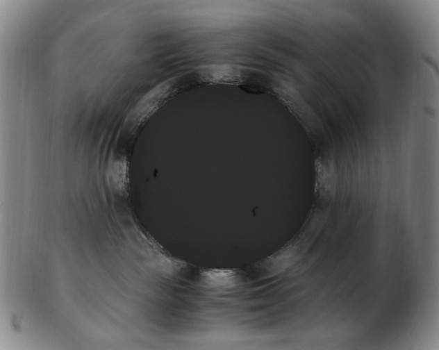X0000103130189200809121740