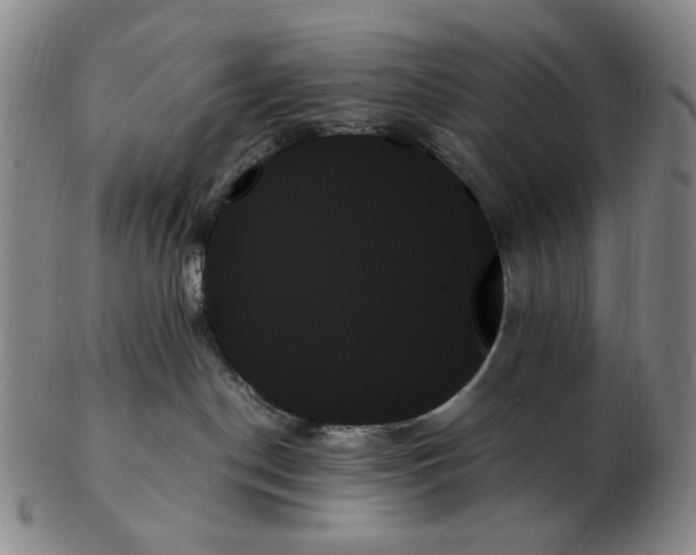 X0000103130190200809121740