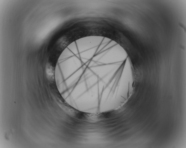 X0000103130191200809121740
