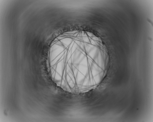 X0000103130192200809121740