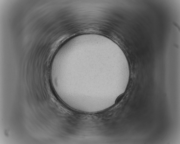 X0000103130193200809121739