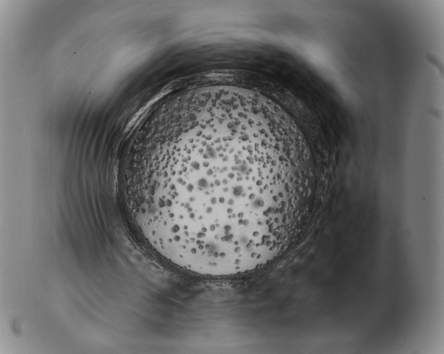 X0000103130194200809121739