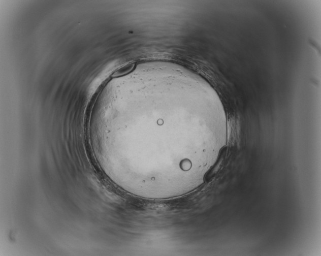 X0000103130195200809121739