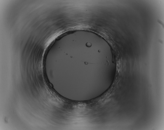 X0000103130196200809121739