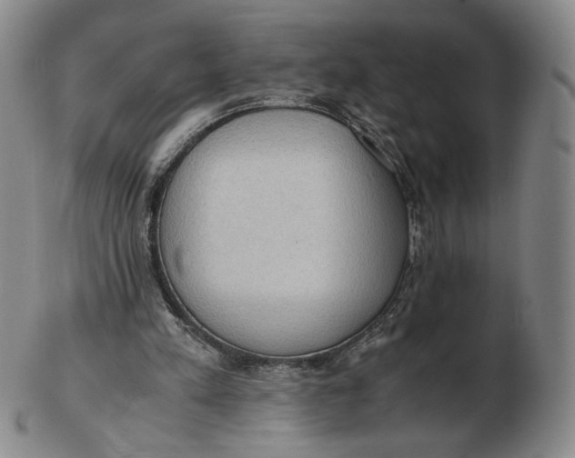 X0000103130197200809121739