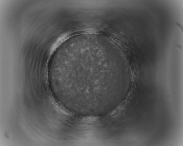 X0000103130198200809121739